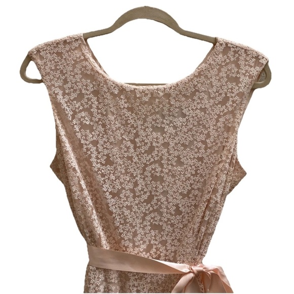 TAHARI Arthur S. Levine A-Line Lace Overlay Dress Blush Shimmer Floral Size 10P - Picture 4 of 14